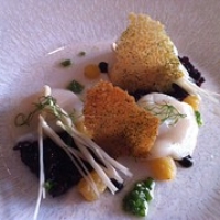 Coquilles met rode biet bij Wereldmuseum Coquilles met rode biet bij Wereldmuseum • <a style="font-size:0.8em;" href="http://www.flickr.com/photos/88422686@N06/12703387354/" target="_blank">View on Flickr</a>