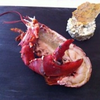 Oosterscheldekreeft Les Copains Oosterscheldekreeft Les Copains • <a style="font-size:0.8em;" href="http://www.flickr.com/photos/88422686@N06/13675775003/" target="_blank">View on Flickr</a>