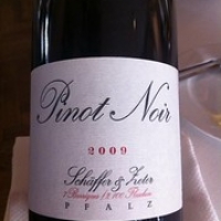 Briljante Pinot noir Briljante Pinot noir • <a style="font-size:0.8em;" href="http://www.flickr.com/photos/88422686@N06/8166638174/" target="_blank">View on Flickr</a>