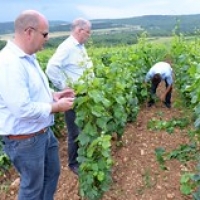 Bourgogne Bourgogne • <a style="font-size:0.8em;" href="http://www.flickr.com/photos/88422686@N06/8085570450/" target="_blank">View on Flickr</a>