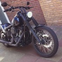 Harley Harley • <a style="font-size:0.8em;" href="http://www.flickr.com/photos/88422686@N06/8085554087/" target="_blank">View on Flickr</a>