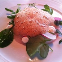 Langoestine met een schuim van bisque, briljant op smaak Langoestine met een schuim van bisque, briljant op smaak • <a style="font-size:0.8em;" href="http://www.flickr.com/photos/88422686@N06/8230091537/" target="_blank">View on Flickr</a>