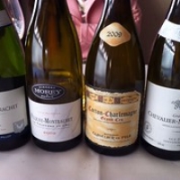 Top Bourgognes bij Les Copains Top Bourgognes bij Les Copains • <a style="font-size:0.8em;" href="http://www.flickr.com/photos/88422686@N06/8712229477/" target="_blank">View on Flickr</a>