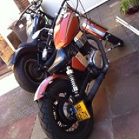 Brothers in Arms Brothers in Arms • <a style="font-size:0.8em;" href="http://www.flickr.com/photos/88422686@N06/8709873710/" target="_blank">View on Flickr</a>