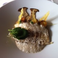 Rogvleugel bij het Wereldmuseum Rogvleugel bij het Wereldmuseum • <a style="font-size:0.8em;" href="http://www.flickr.com/photos/88422686@N06/8577356877/" target="_blank">View on Flickr</a>